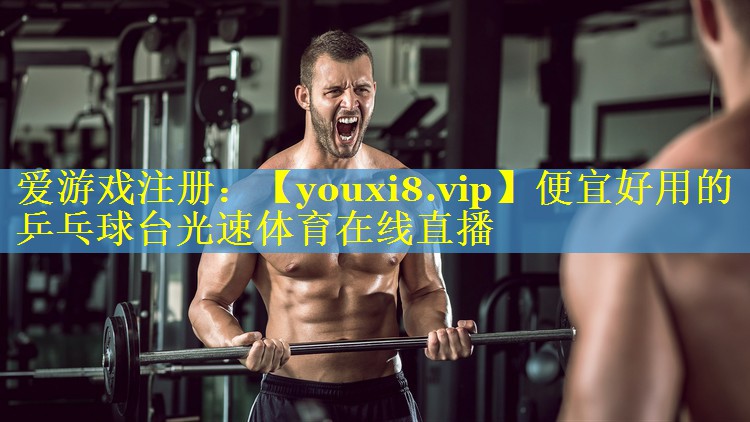 便宜好用的乒乓球台光速体育在线直播
