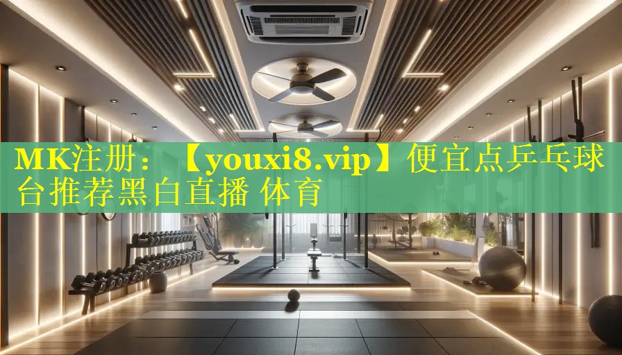 便宜点乒乓球台推荐黑白直播 体育