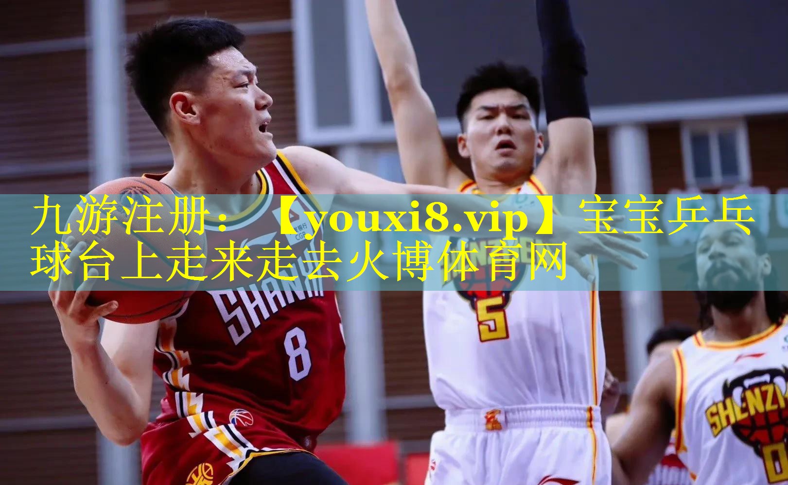 宝宝乒乓球台上走来走去火博体育网