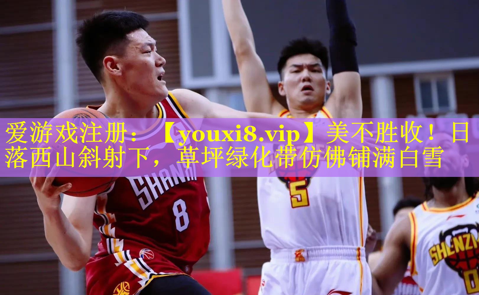 美不胜收!日落西山斜射下,草坪绿化带仿佛铺满白雪 美不胜收!日落西山斜射下,草坪绿化带仿佛铺满白雪